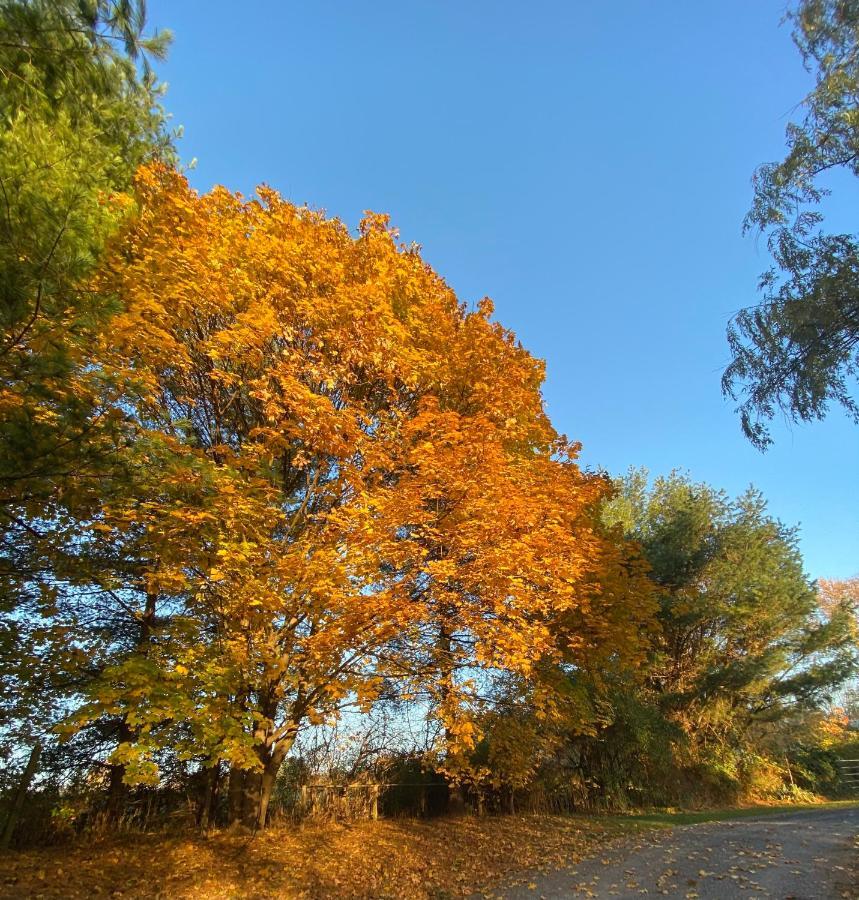 Family Farmhouse Inn Mount Jackson Bagian luar foto