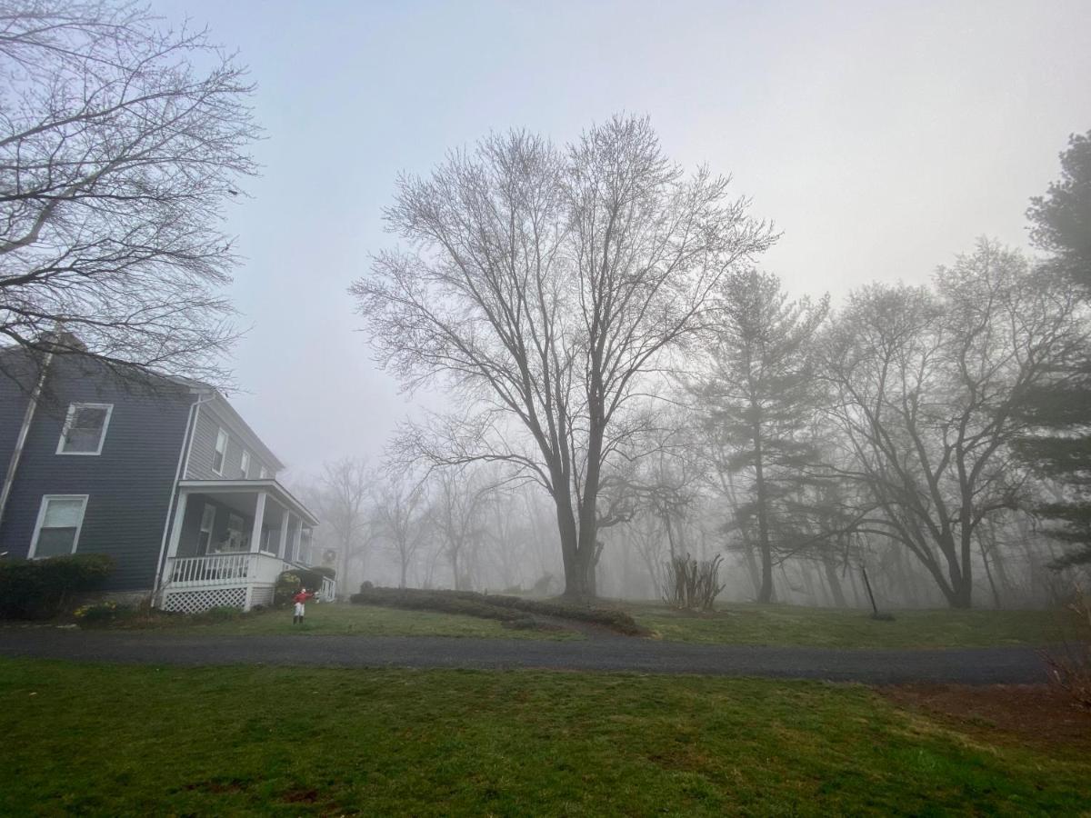 Family Farmhouse Inn Mount Jackson Bagian luar foto