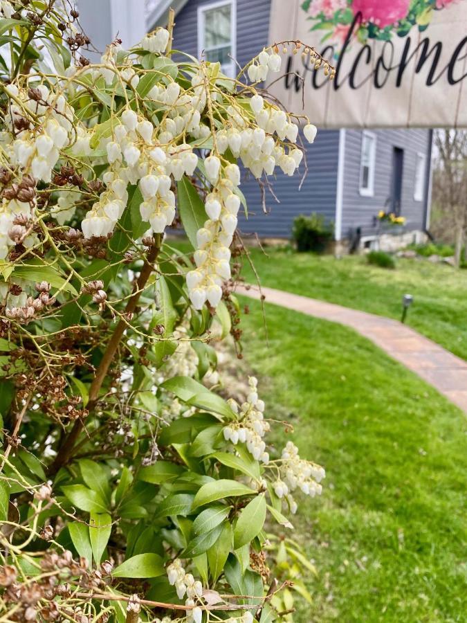 Family Farmhouse Inn Mount Jackson Bagian luar foto